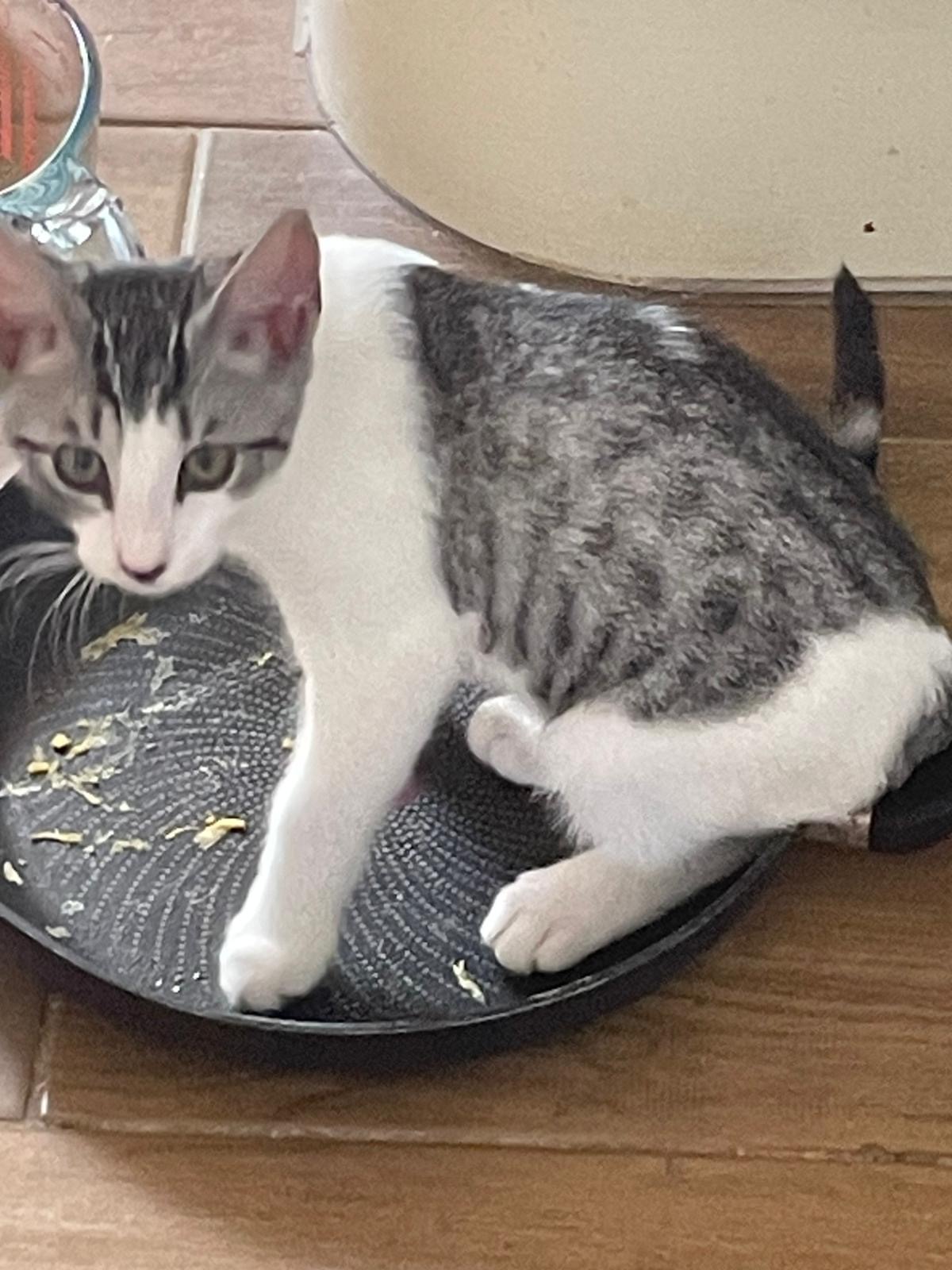 Relaxing after the lesson